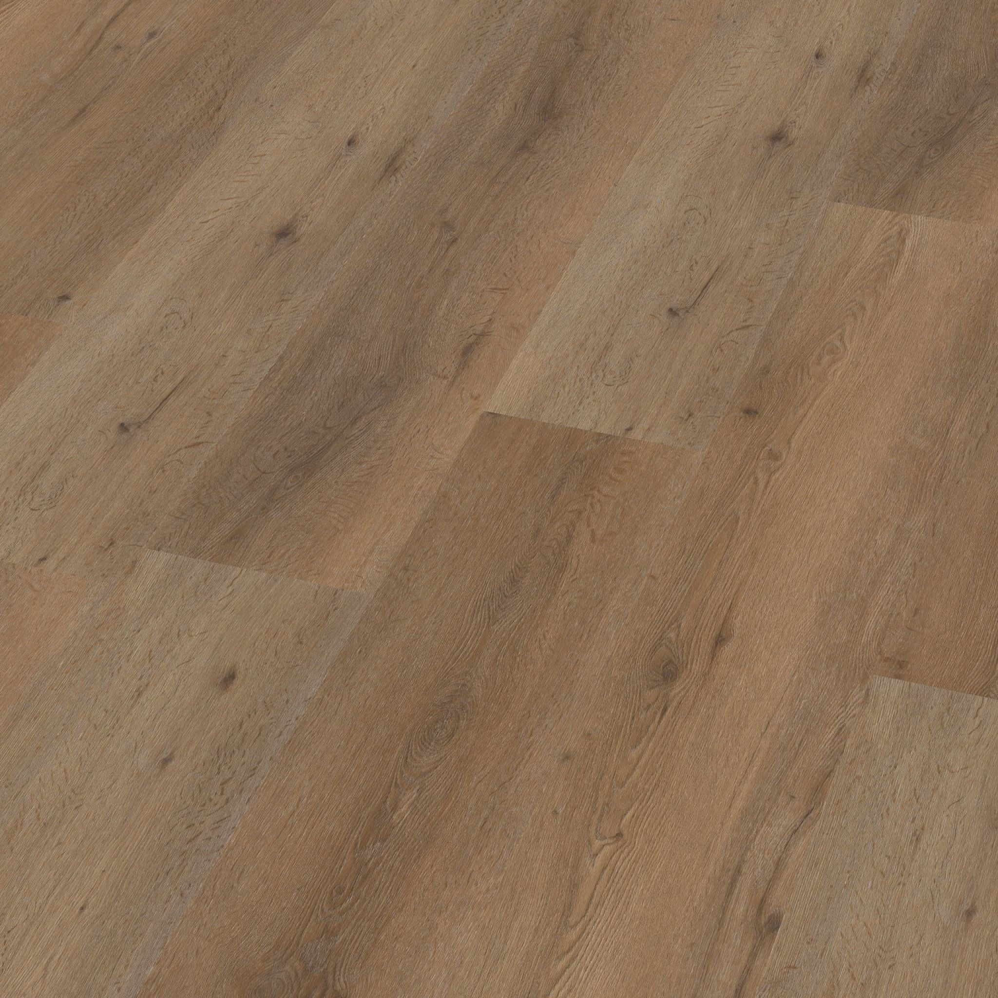 Leyton dryback smoky