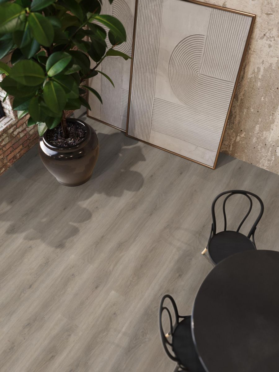 Parramatta dryback light grey