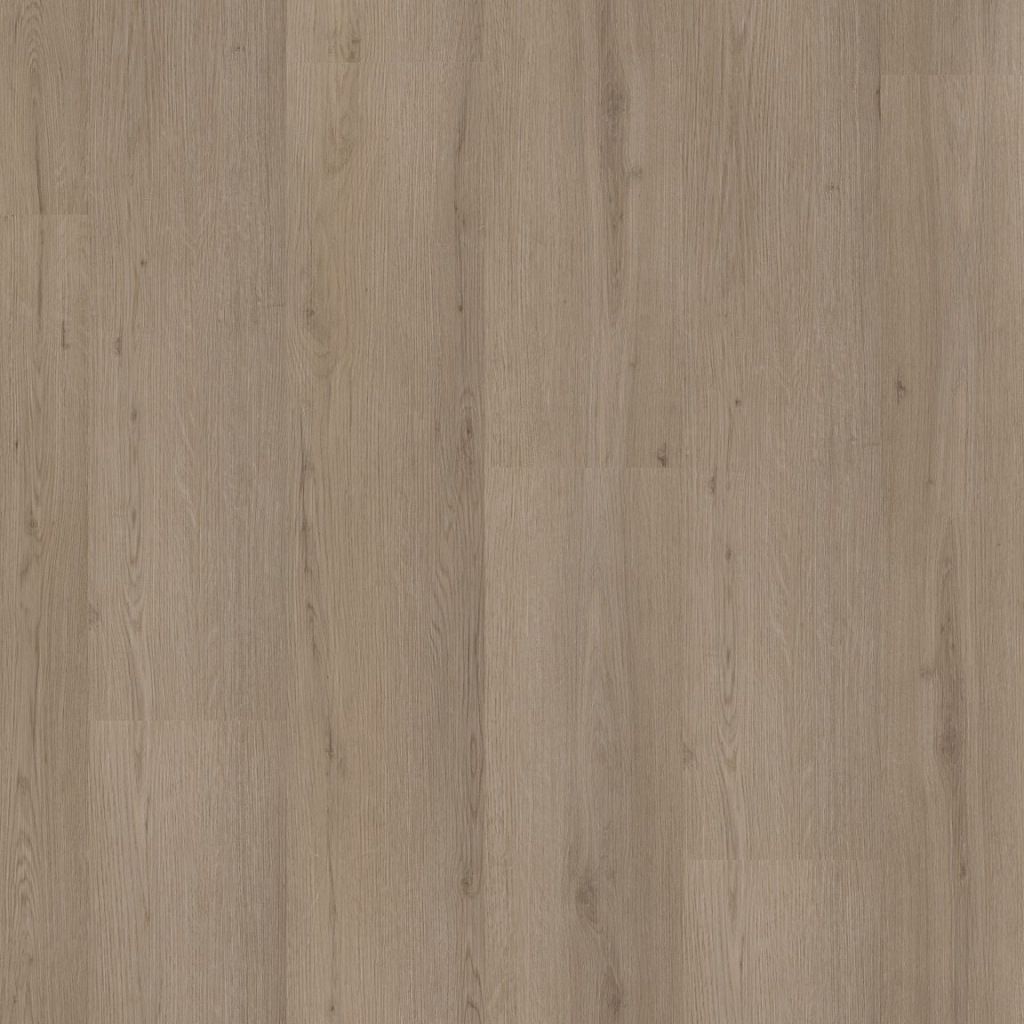 Barnet dryback smoky