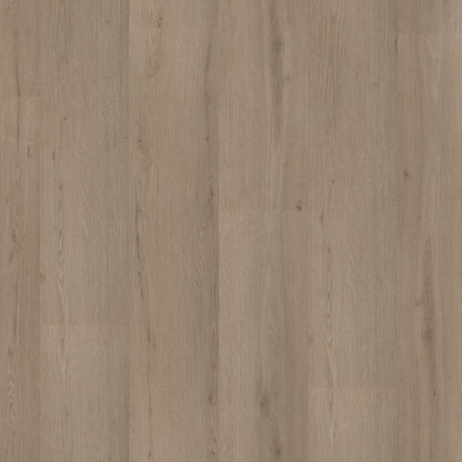 Barnet dryback smoky