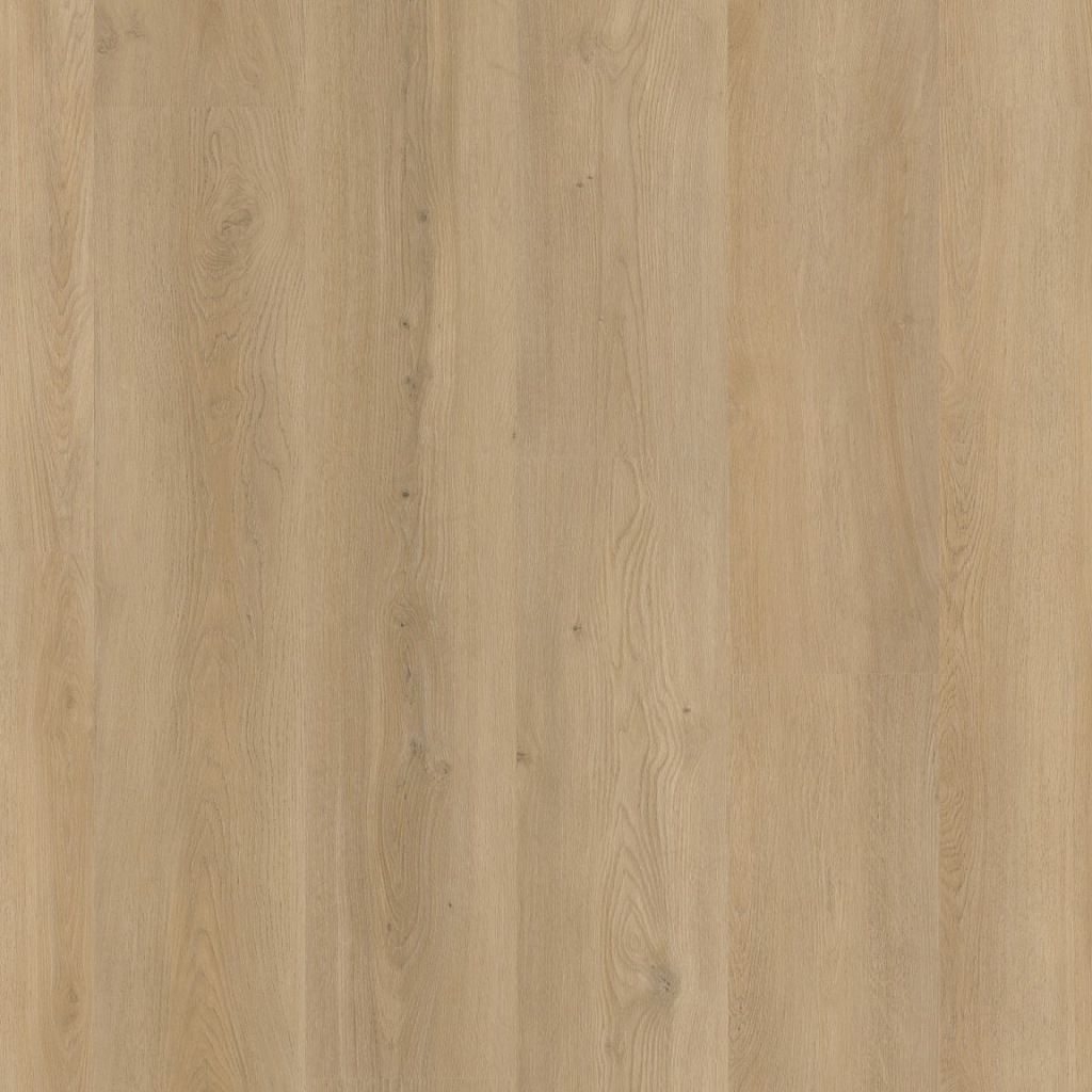 Greenwich dryback beige