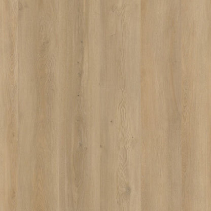 Greenwich dryback beige