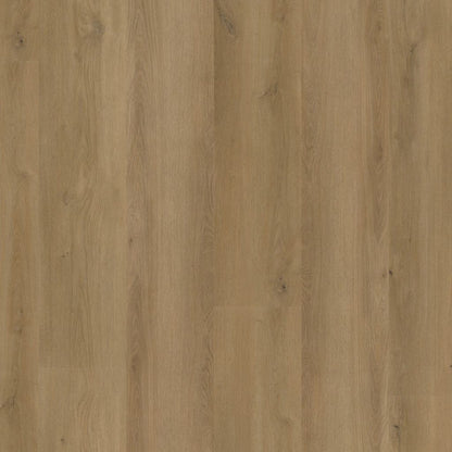 Greenwich dryback dark oak