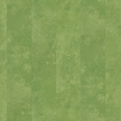 Finsbury dryback green