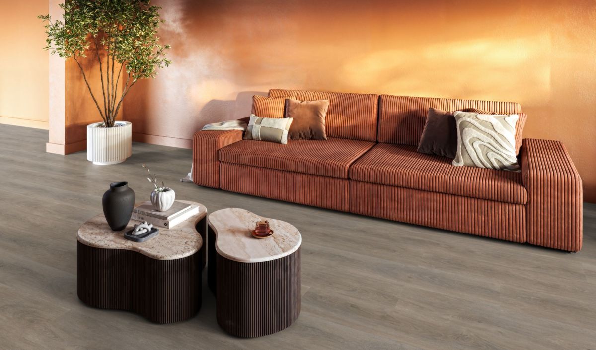 Parramatta dryback smoky