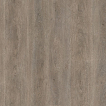 Parramatta dryback smoky