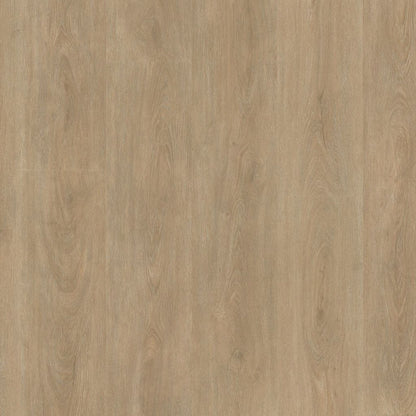 Parramatta dryback naturel