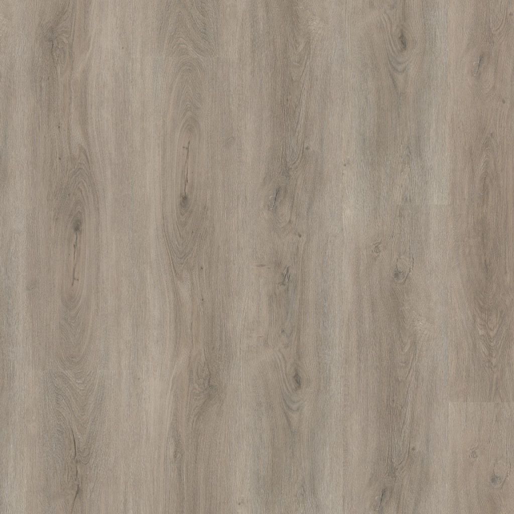 Parramatta dryback light grey