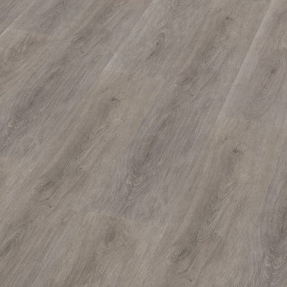 Parramatta dryback grey oak
