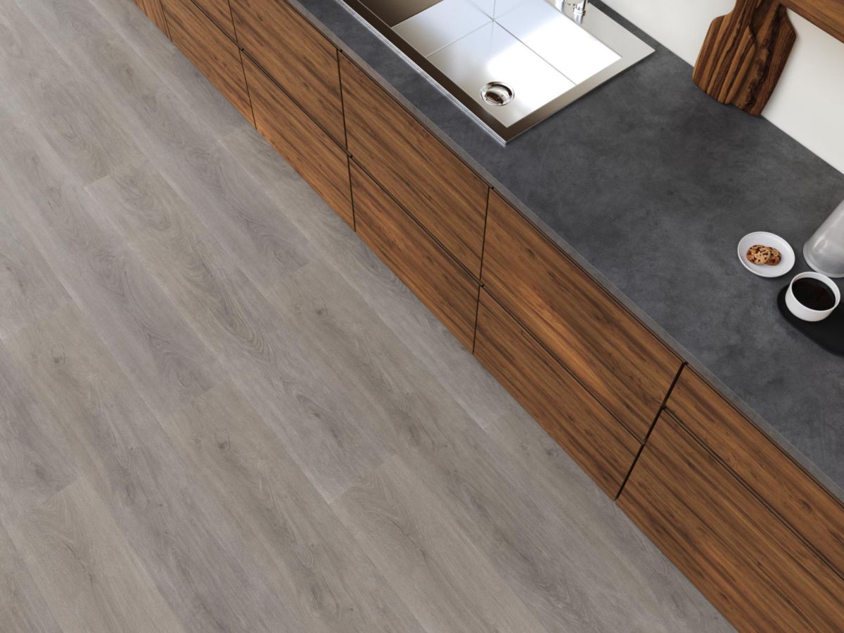 Parramatta dryback grey oak