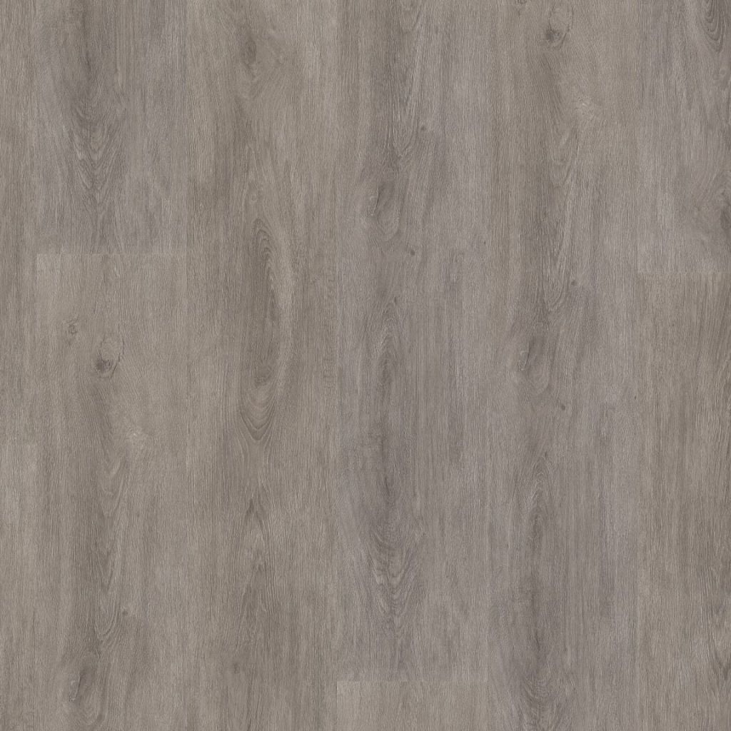 Parramatta dryback grey oak
