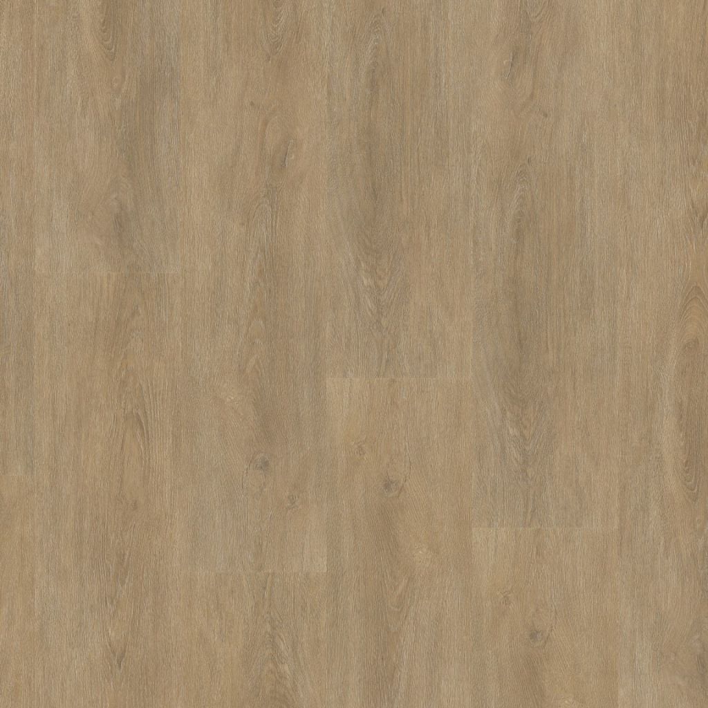 Parramatta dryback natural oak