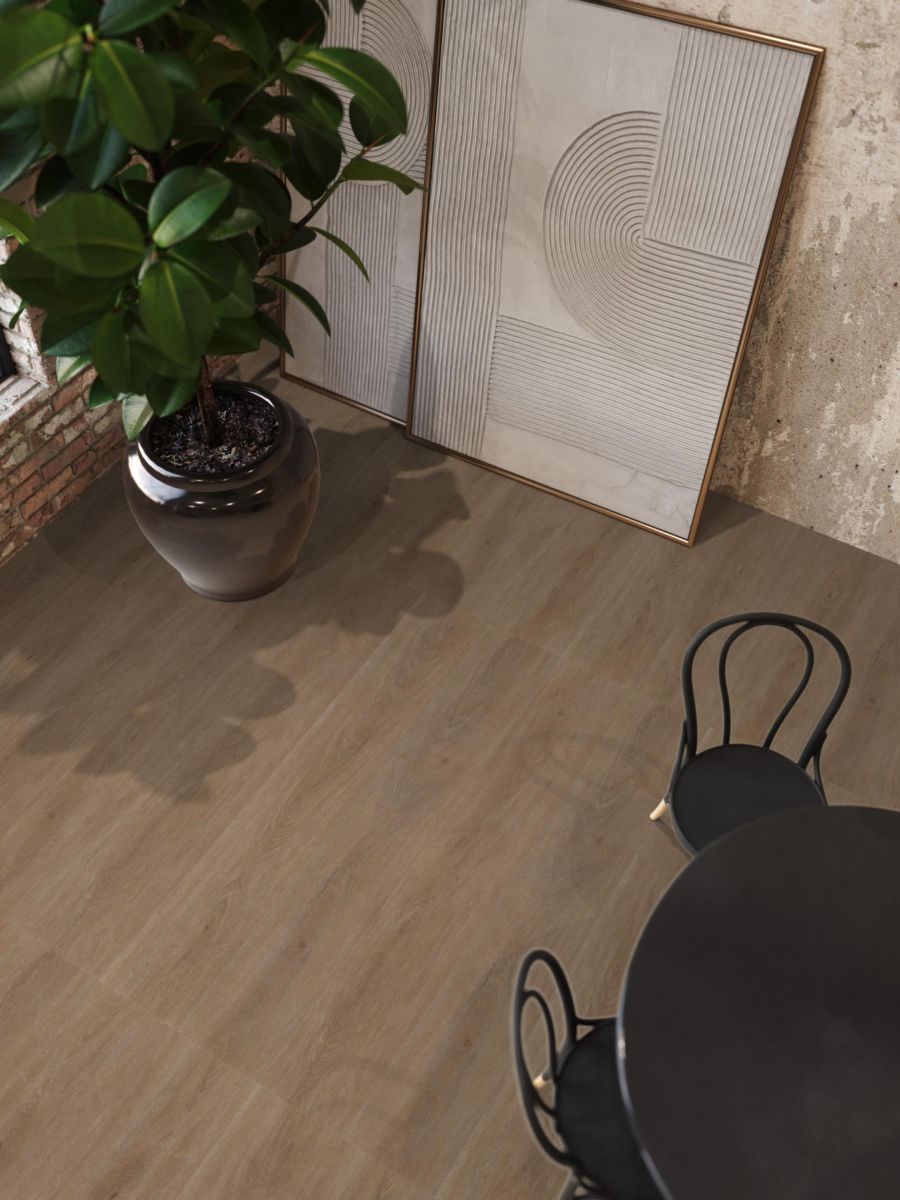Parramatta dryback dark oak