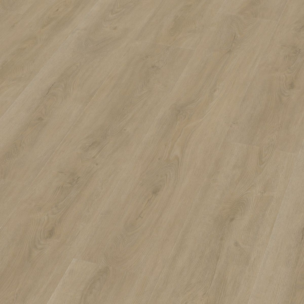Parramatta dryback beige
