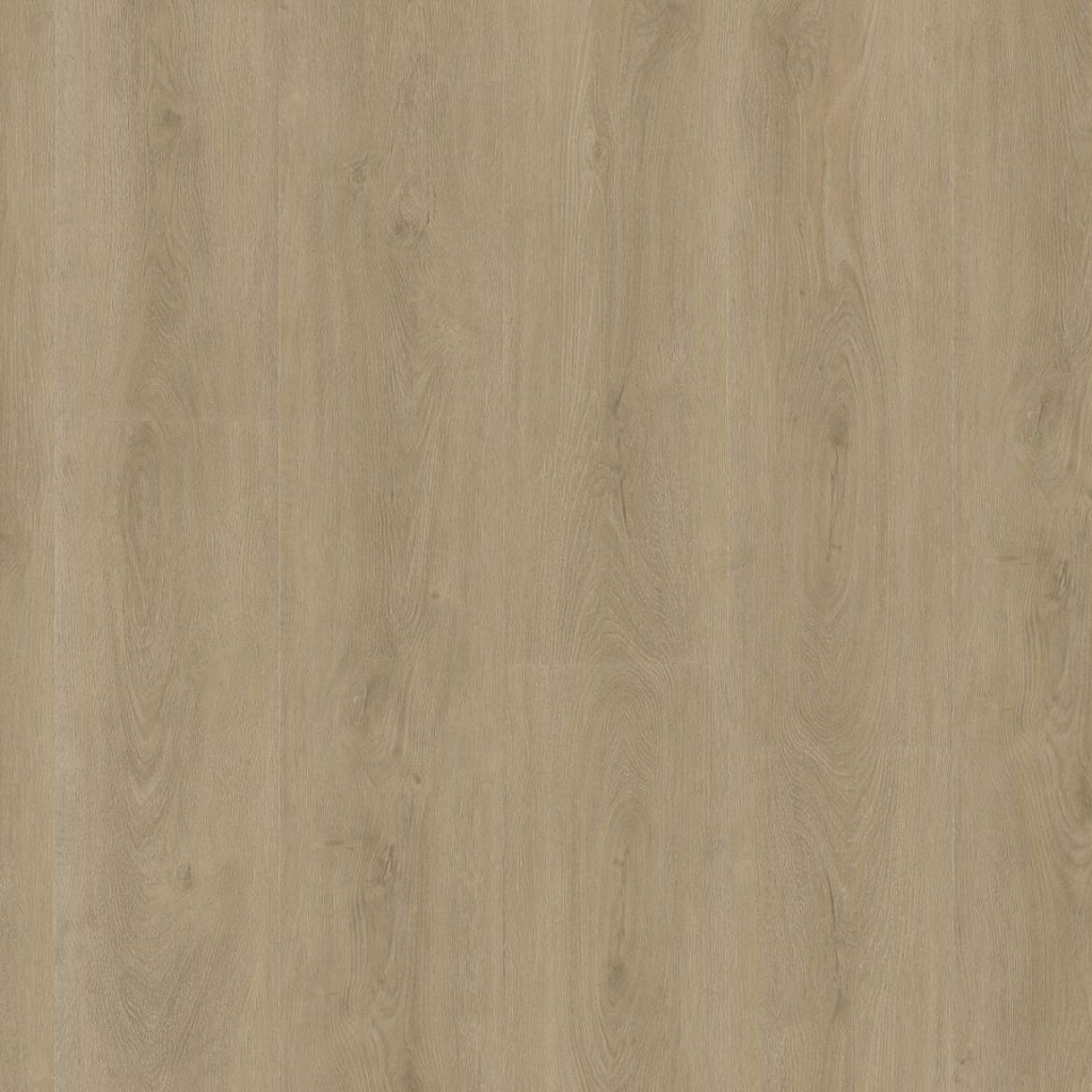 Parramatta dryback beige