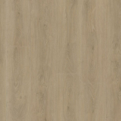Parramatta dryback beige