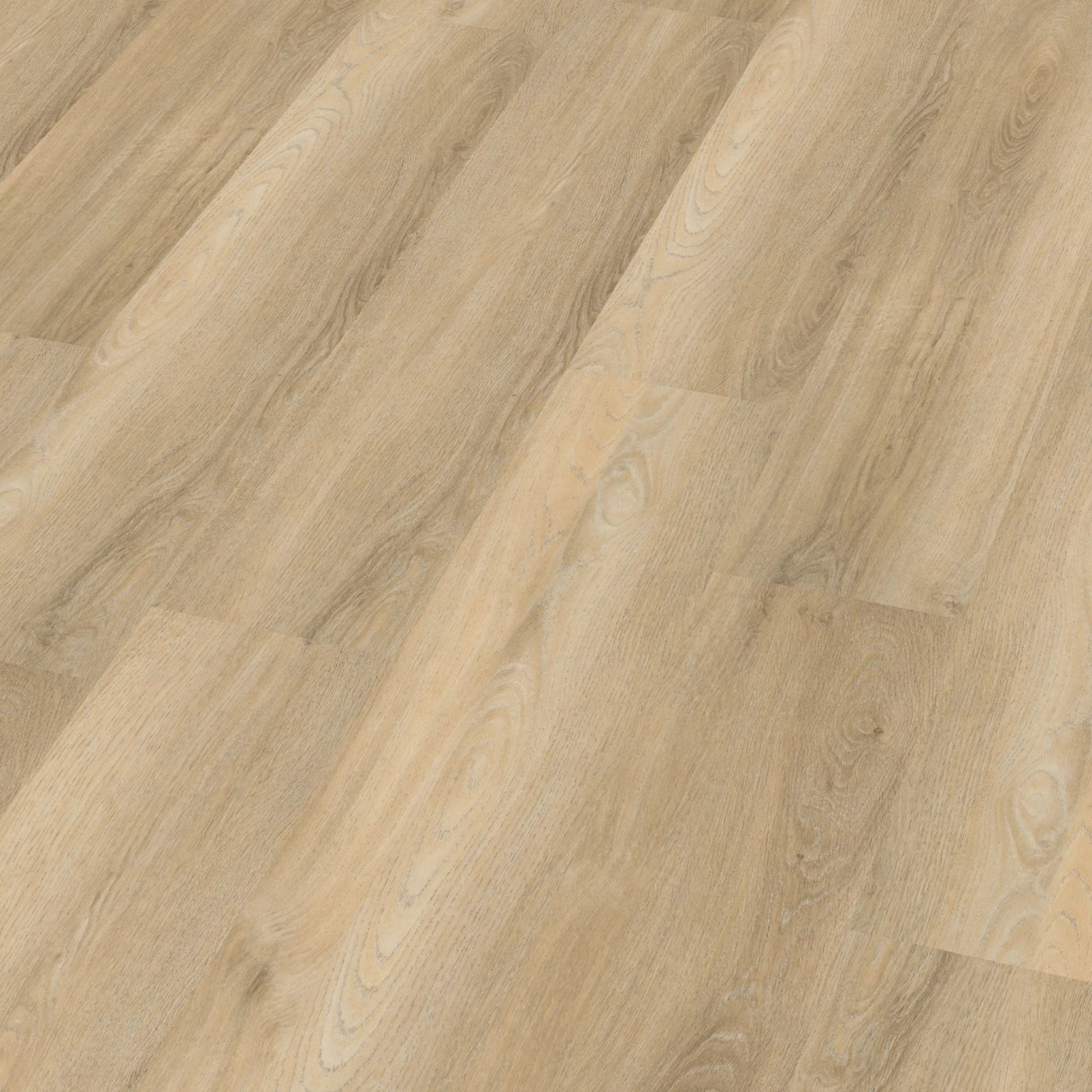Paddington dryback beige