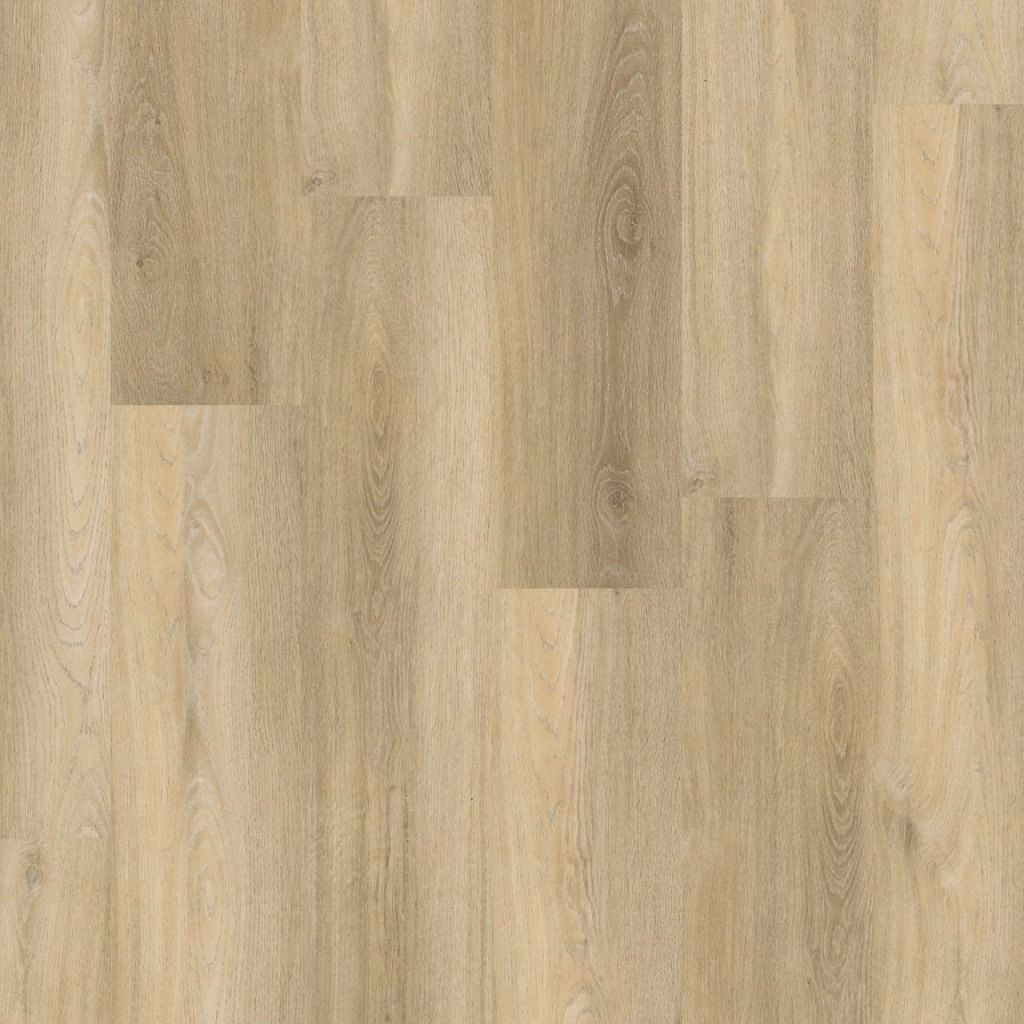 Paddington dryback beige