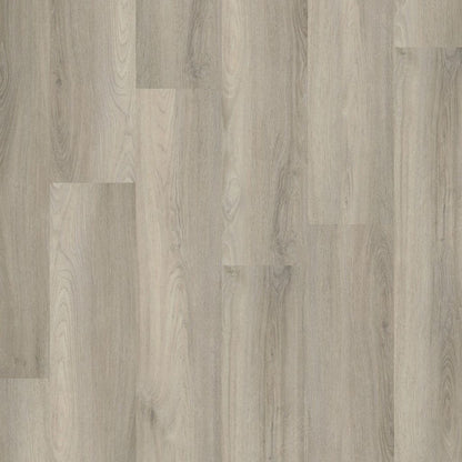 Paddington dryback light grey