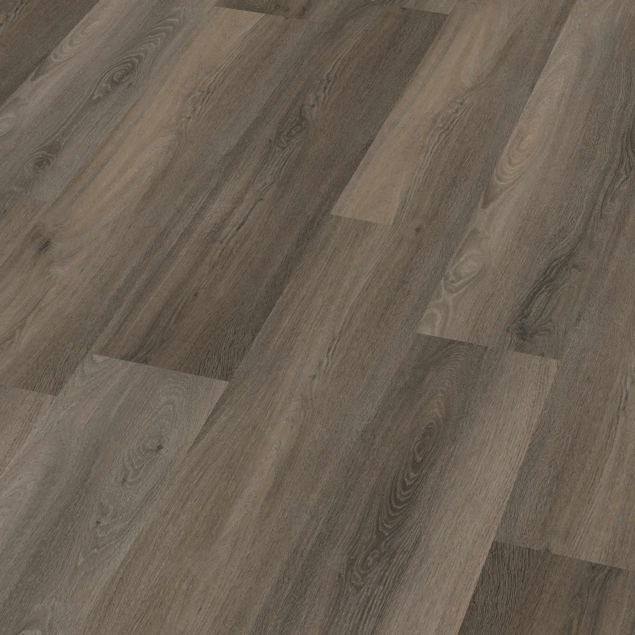 Paddington dryback dark grey
