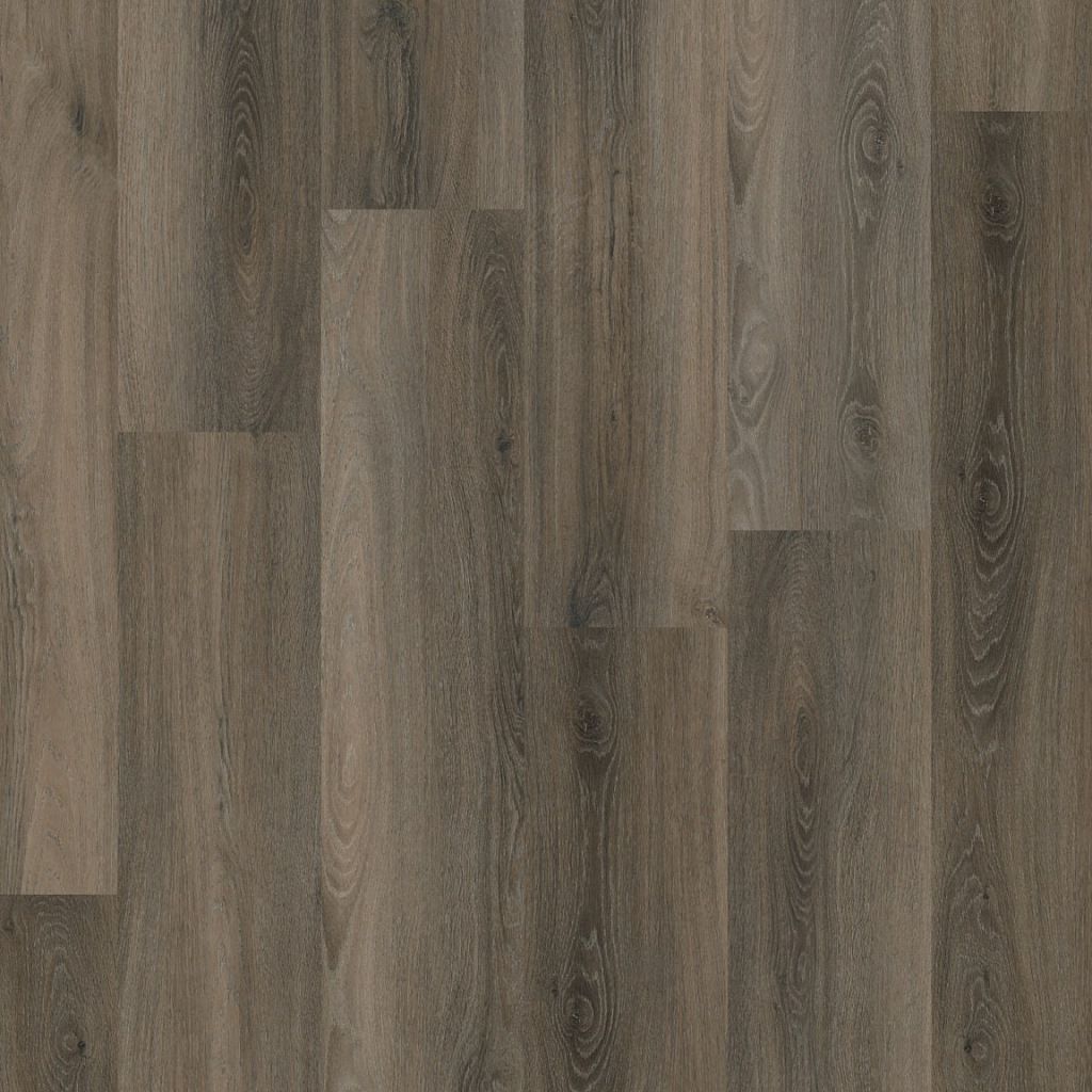 Paddington dryback dark grey