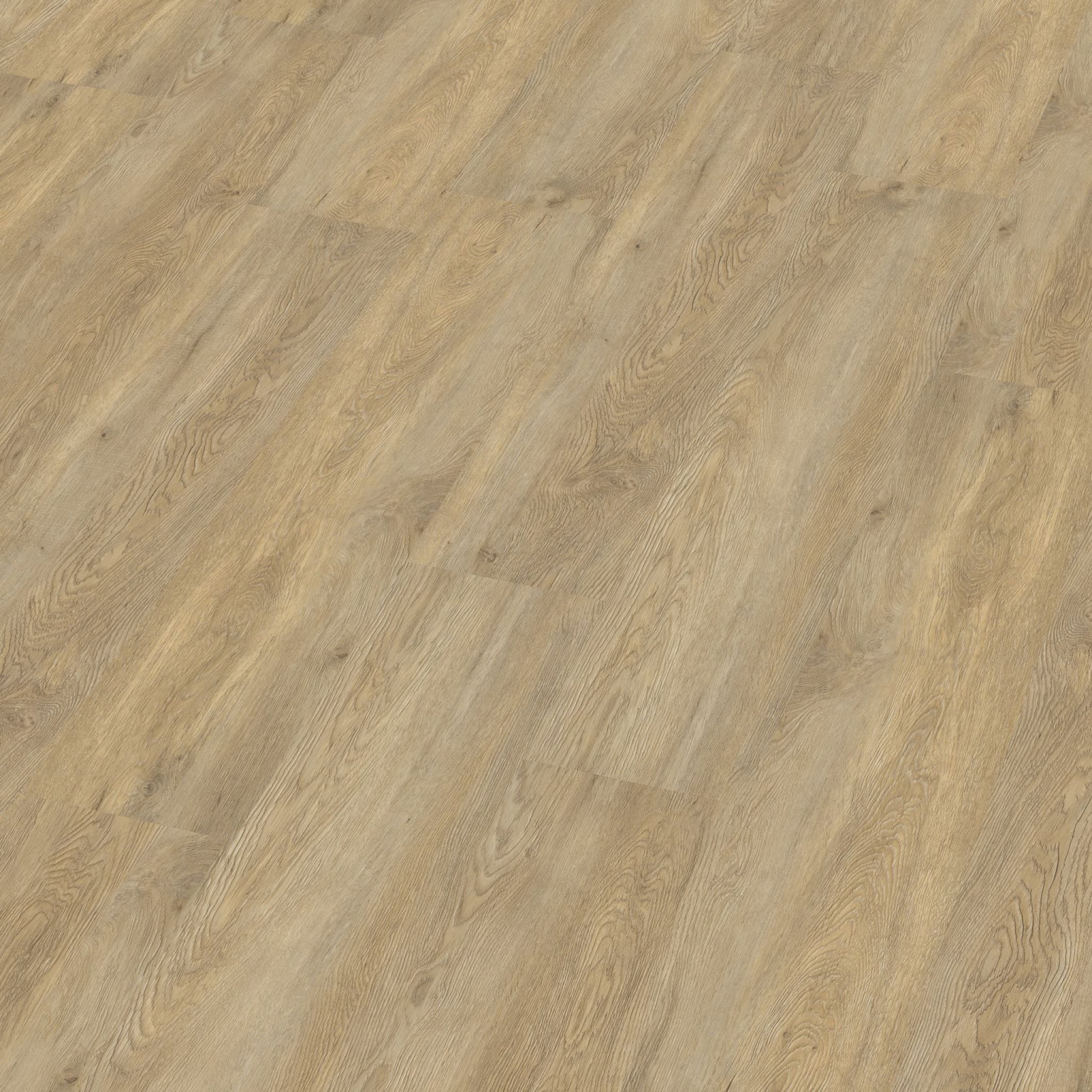 Bankstown dryback natural oak