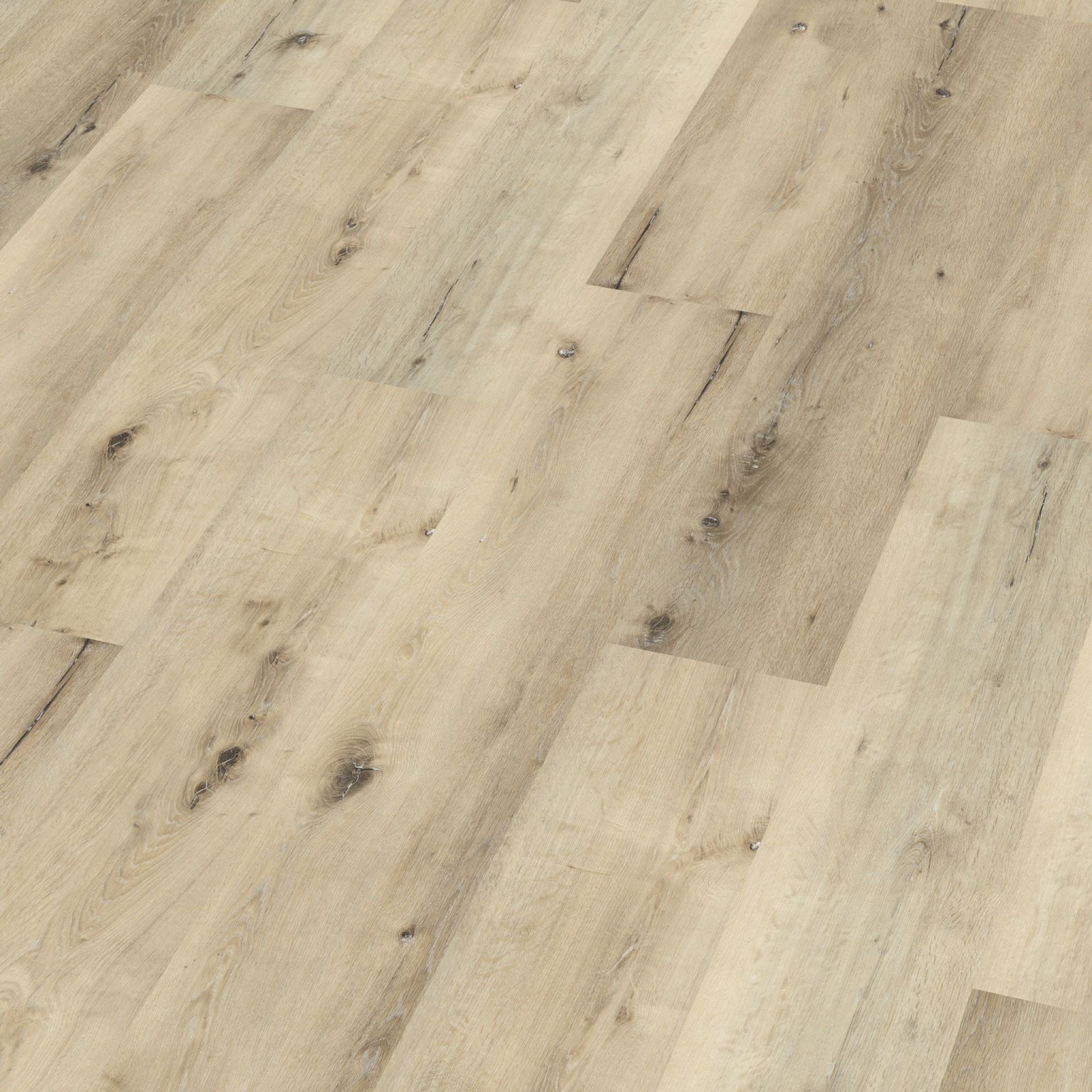 Sydney harbour dryback light oak