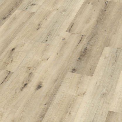 Sydney harbour dryback light oak